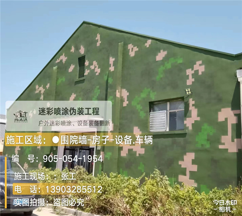 彭水外墙数码迷彩漆施工报价清单（100㎡标准墙面测算）